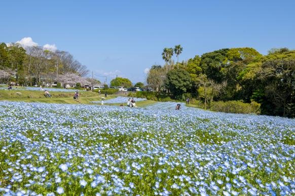 🌳 자안사 공원(지겐지코엔) 이미지 8